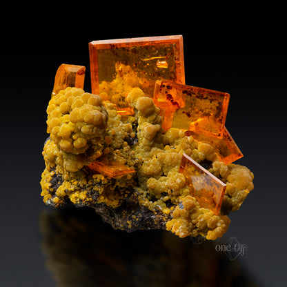Wulfenite & Mimetite